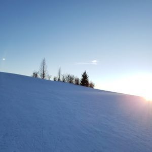 Meet your Posher, Elena